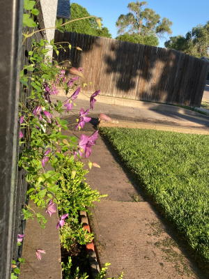 IMG_1561 1.png