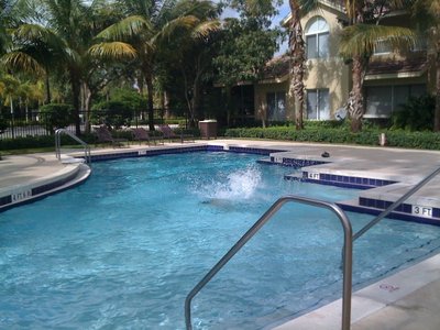 the swim pool in our area.jpg