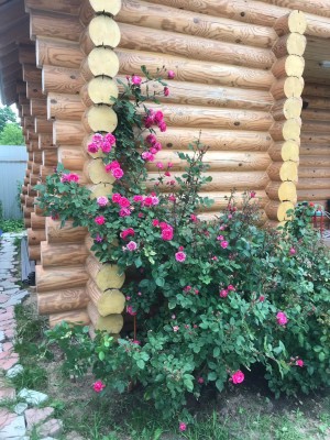 thumbnail (4).jpg