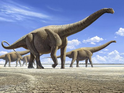 scale_1200.jpg
