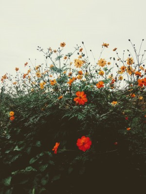 IMG_20210901_084756.jpg