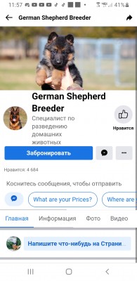 Screenshot_20211003-235711_Chrome.jpg