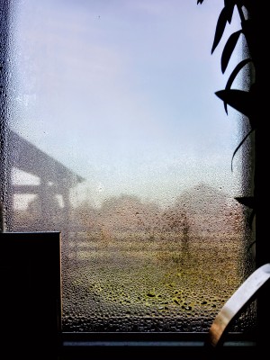 IMG_20210918_113647.jpg
