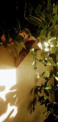 PANO_20211026_133528.jpg