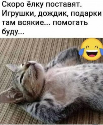 50EAD09D-B898-4069-B611-91B77DEABF3B.jpeg