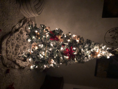 imageonline-co-resizedimage 2.png