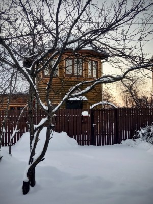 IMG_20211209_155105.jpg