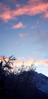 20220116_110159.jpg