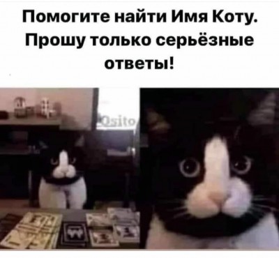 AD888861-2250-4FB1-A003-95A1DB0DBA22.jpeg