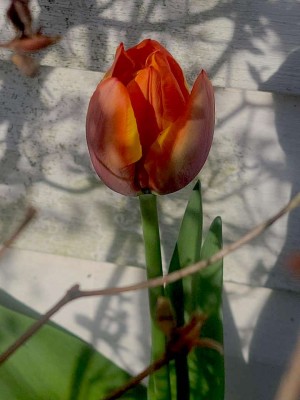 f964170e58de78d1ee2f4d1fa3be3b1b881bfea74ed2ca77b9ff6822e0668791 copy.jpg