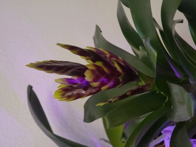 20220309_131711.jpg