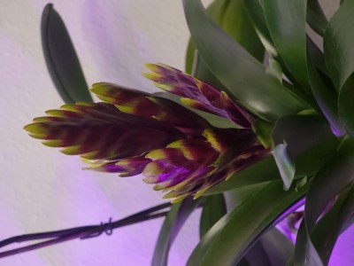 20220309_131652.jpg
