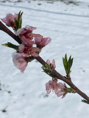 IMG_5919.jpg