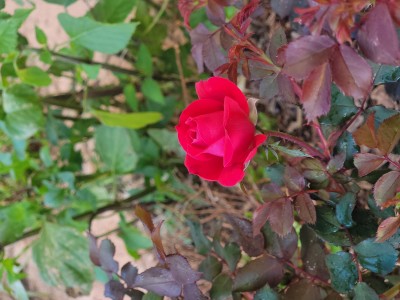 20220319_180018.jpg