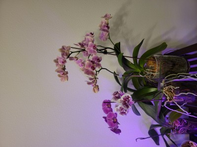 20220325_191126.jpg