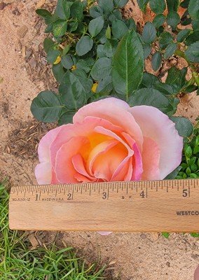 20220412_152253.jpg