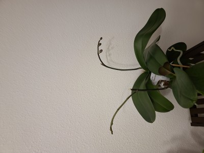 20220412_192541.jpg