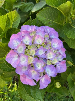 thumbnail (14).jpg