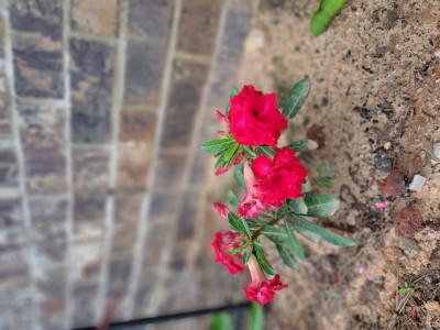 20220525_180134.jpg