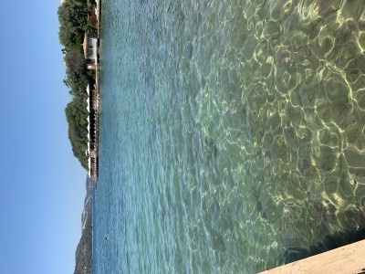 68F6A2AE-8D77-4D0E-AFDF-113E8B8BD165.jpeg