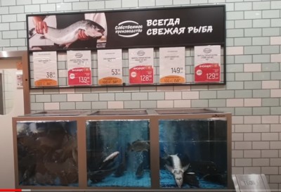 4496078D-4FD1-449D-8AE3-797C0E823B90.jpeg