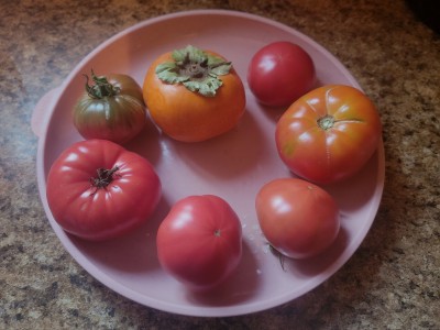 0bd7e001e29ebf3adc4c1af0c721bc47fb1f2fbb9d0541561b8fb582366f5f24 copy.jpg