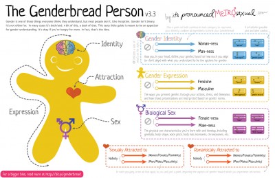 gender gingerbread man.jpg