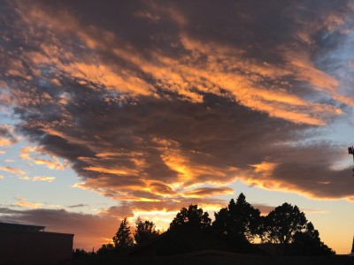 C63CBF75-7462-434C-919D-59D80A1C6217.jpeg