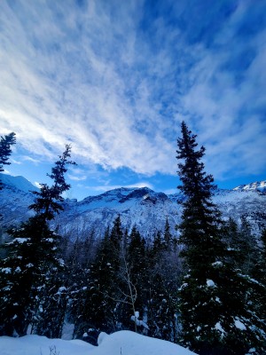 20230215_130142.jpg
