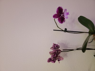 20230222_173812.jpg