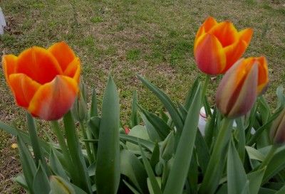 e52865b46b4b70338ba58c0af86a5e48bf8f1e3577b80e139c2803a282da8e0e copy.jpg