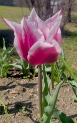 640f5822ff11ada9deb81cc9dec38add38007be9a8625302f2a834eb22d8e48d copy.jpg