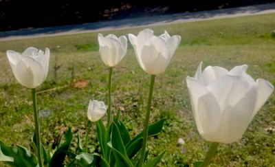 b84a46acfc96cd184206417ee3ccd5ce3a3c2213ec6da78c76b2cb3f1fb7e40b copy.jpg