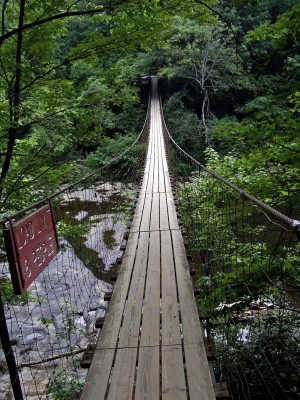 FallCreekFalls_026-1.jpg