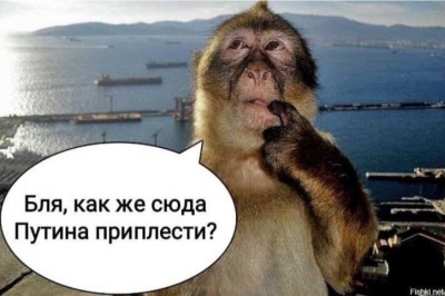 26A6230E-4095-472D-BF4A-58167294CB37.jpeg
