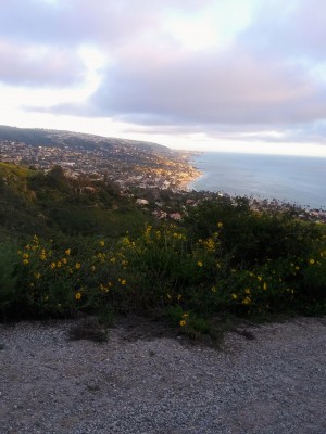 20190406_184832~2.jpg