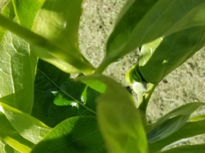 20230417_121256.jpg