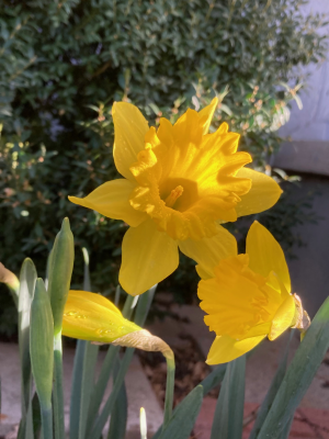 IMG_6179 1.png