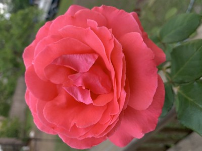 IMG_9108.jpeg