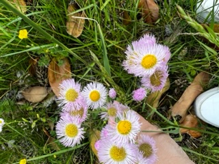 IMG_5495.jpeg