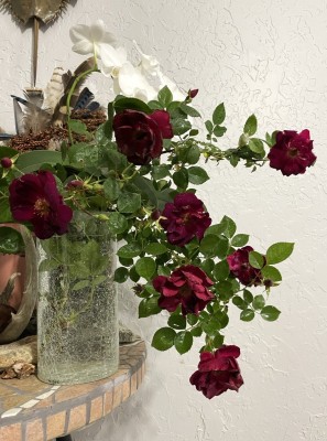 photo_2023-05-03_17-55-50 (4).jpg