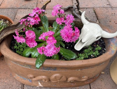 photo_2023-05-03_17-55-31 (2).jpg