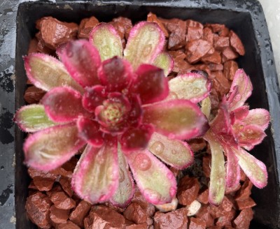 photo_2023-05-03_17-55-30 (2).jpg