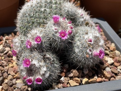 photo_2023-05-05_13-35-01 (8).jpg