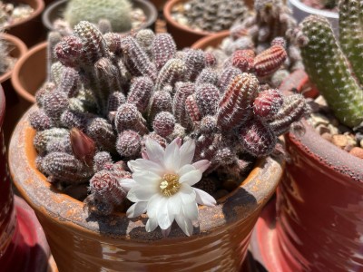 photo_2023-05-05_13-35-01 (7).jpg