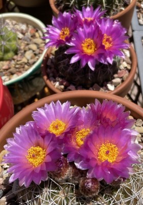 photo_2023-05-05_13-35-01 (6).jpg