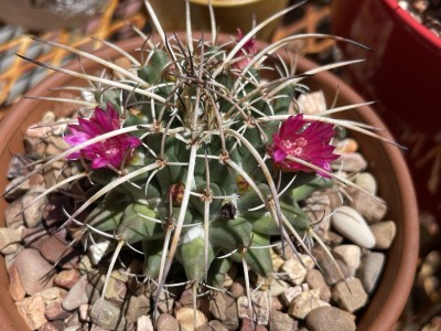 photo_2023-05-05_13-35-01 (2).jpg