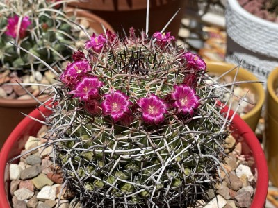 photo_2023-05-05_13-34-41 (5).jpg