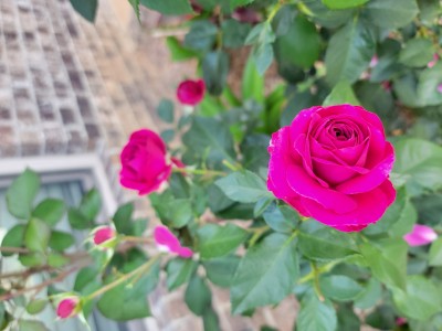 20230507_181007.jpg