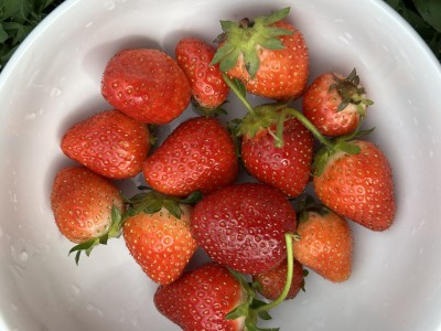IMG_1772.jpeg